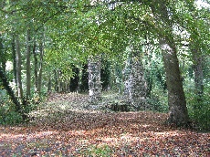 Le Bois de Bernouville, un sentier écologique à découvrir... - Hautot-sur-Mer , Petit Appeville , Pourville - Seine-maritime - Normandie
