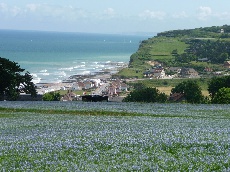  - Hautot-sur-Mer , Petit Appeville , Pourville - Seine-maritime - Normandie